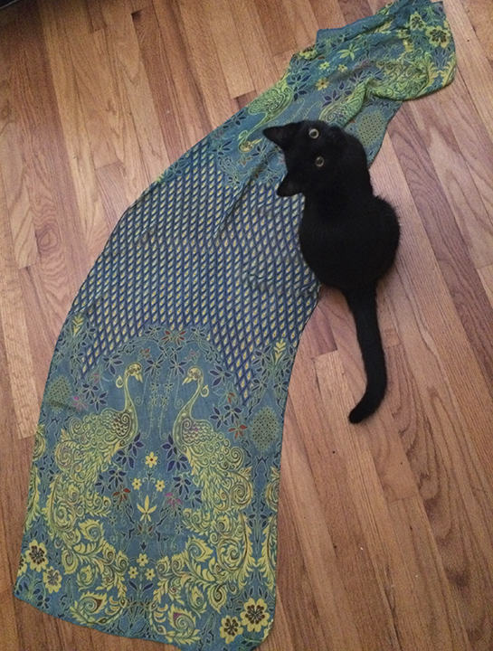 1) The scarf in the beginning, shown with kitten for scale.